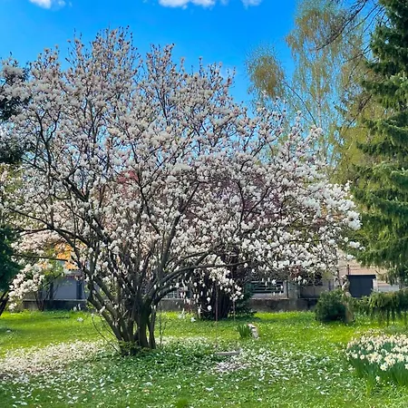 Apartment Pipa's Place - Stylish Garden Prime Location