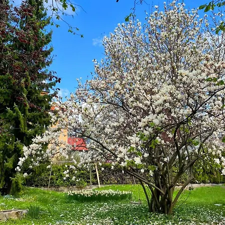 Daire Pipa's Place - Stylish Garden Prime Location